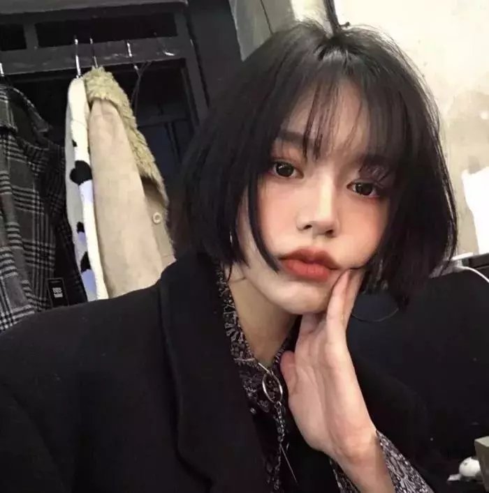 铁线蕨青